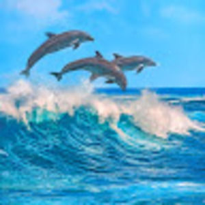 Meet your Posher, Leonor